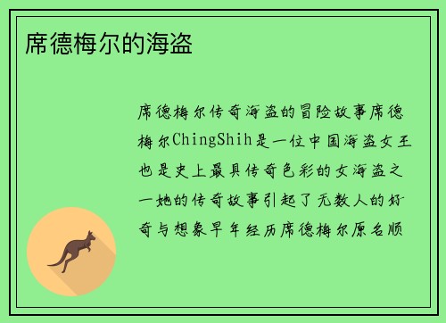 席德梅尔的海盗